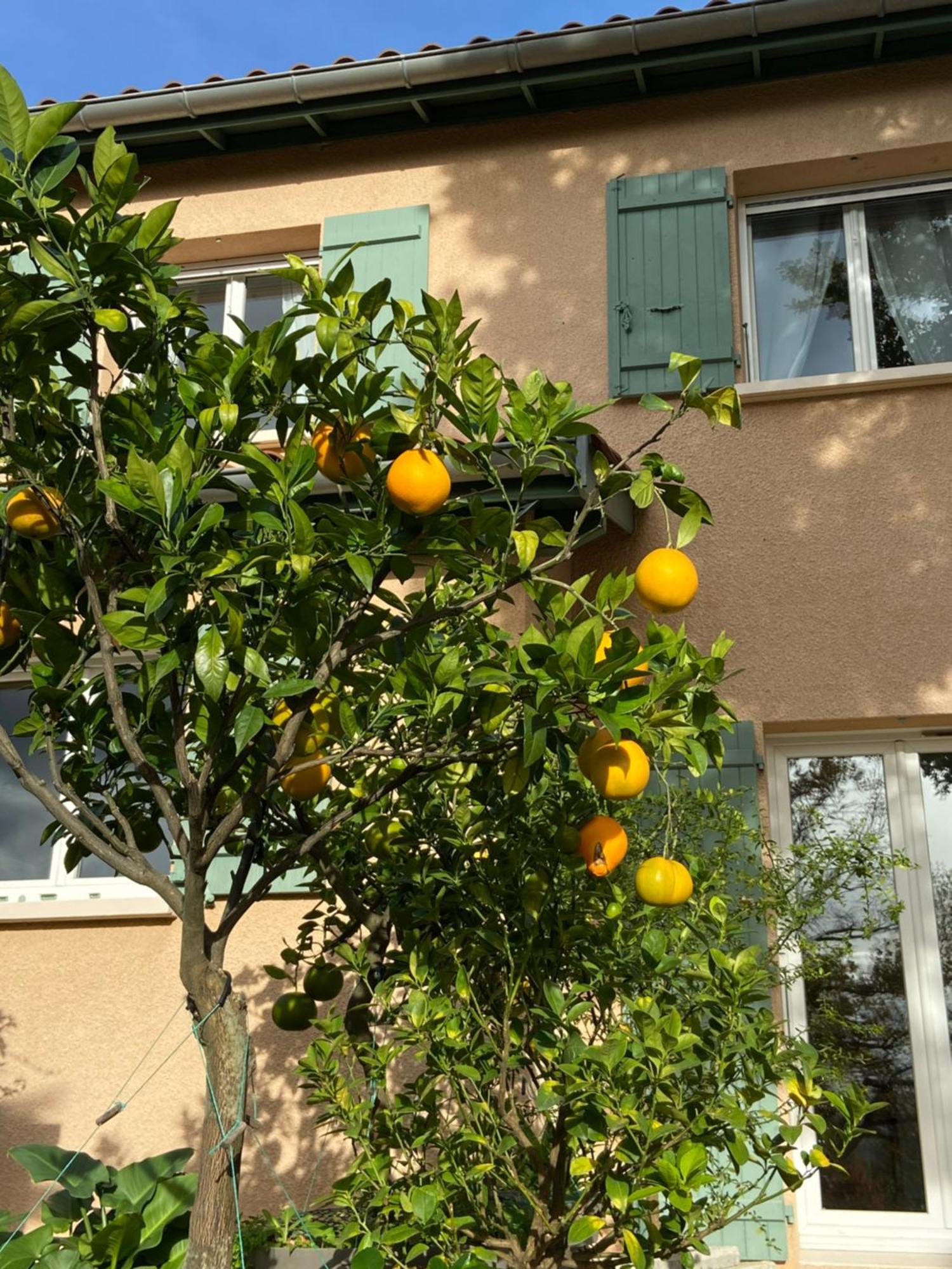 Francheville  Le Relais Des Malettes Chambres D'Hotes B&B المظهر الخارجي الصورة