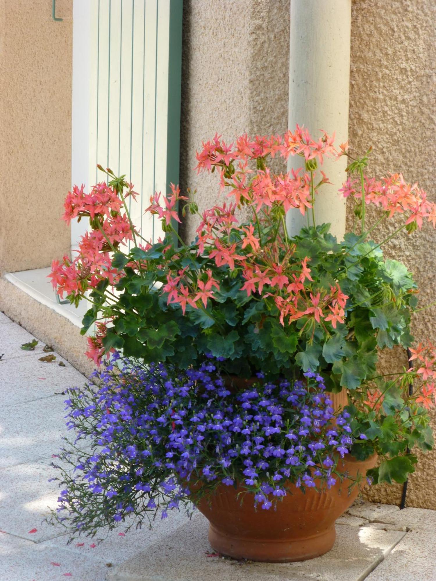 Francheville  Le Relais Des Malettes Chambres D'Hotes B&B المظهر الخارجي الصورة